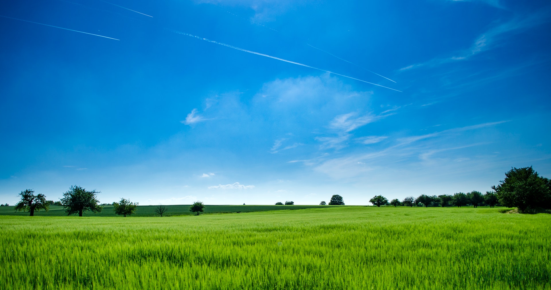 agriculture-clouds-countryside-cropland-440731
